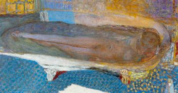 Pierre Bonnard mini