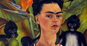C6 Frida autorretratos mini