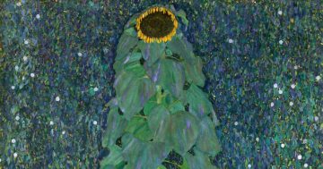 C6 La otra faceta de Klimt mini