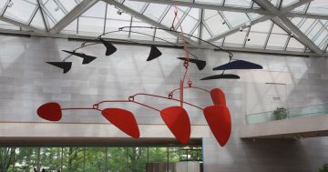 C6 Los móviles de Calder mini
