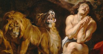 Entrenando el ojo 97