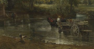 Entrenando el ojo 104