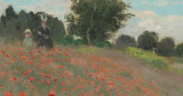 Entrenando el ojo 126