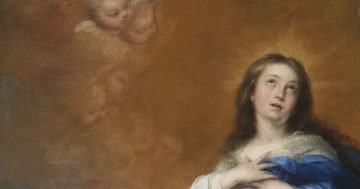 Entrenando el ojo 142