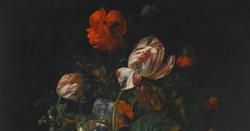 Entrenando el ojo 143