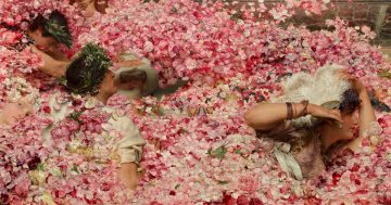 Entrenando el ojo 154