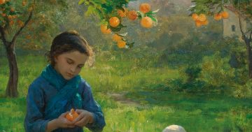 Entrenando el ojo 177