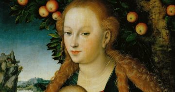 Entrenando el ojo 207