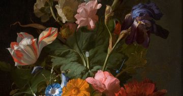 Entrenando el ojo 208