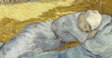 Entrenando el ojo 225