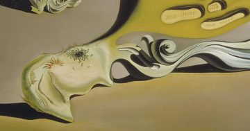 Entrenando el ojo 226