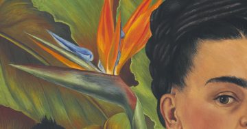 Entrenando el ojo 236