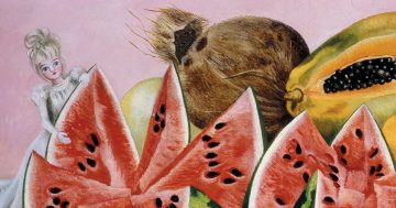 Entrenando el ojo 243