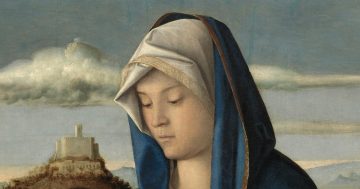 Entrenando el ojo 248