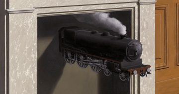 Entrenando el ojo 257