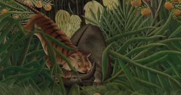 Entrenando el ojo 278