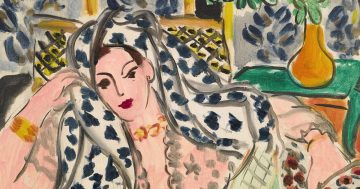 Entrenando el ojo 286