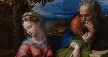 Entrenando el ojo 290