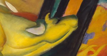 Entrenando el ojo 295