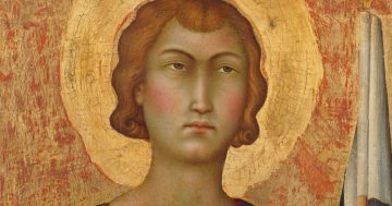 Entrenando el ojo 337