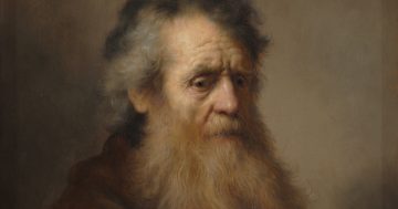 Entrenando el ojo 341