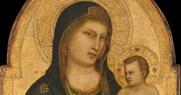 Entrenando el ojo 346