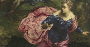 Entrenando el ojo 355