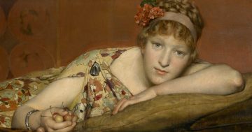 Entrenando el ojo 356