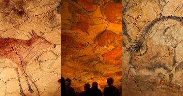 C6 Cueva de Altamira mini