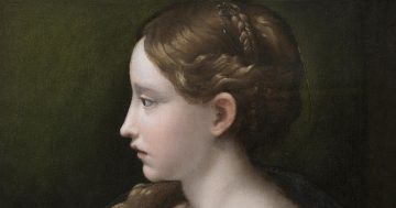 Entrenando el ojo 371