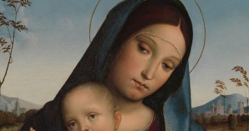 Entrenando el ojo 380