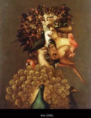 C6 Arcimboldo 01
