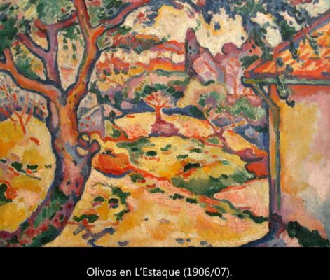 C6 Braque fauvista 01