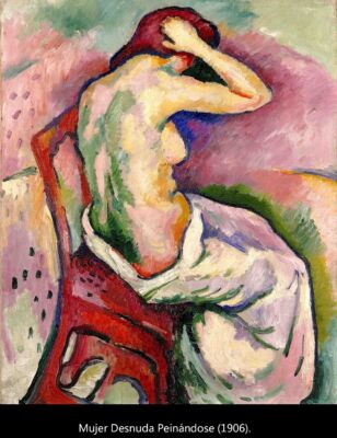 C6 Braque fauvista 04