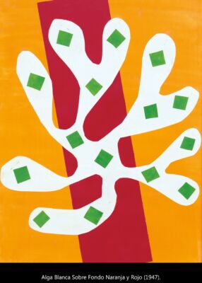 C6 Matisse decoupage 04