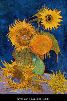 C6 Van Gogh girasoles 06