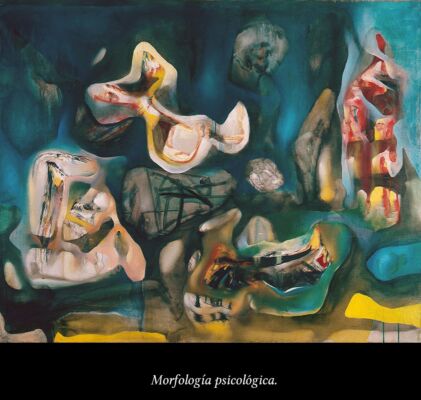 c6 Matta Morfologías 02