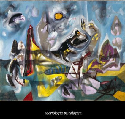 c6 Matta Morfologías 04