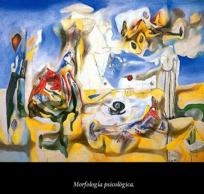 c6 Matta Morfologías 06