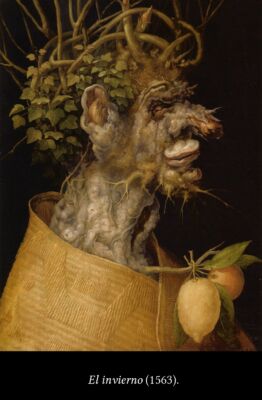 C6 Arcimboldo 14