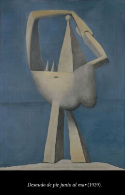 C6 Picasso surrealista 03