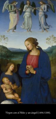 C6 Perugino 02