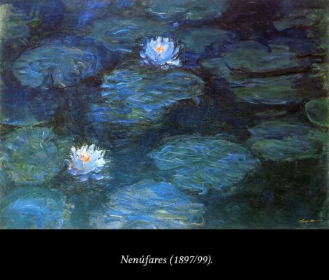 C6 Monet nenúfares 01