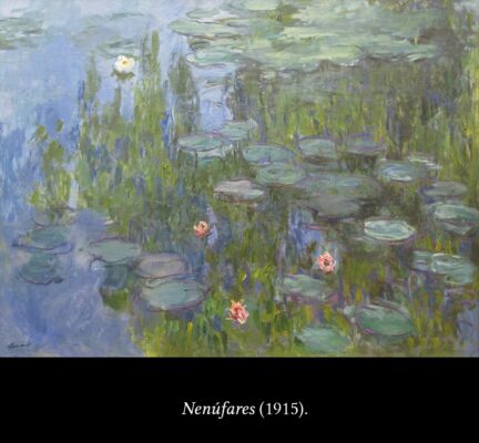 C6 Monet nenúfares 03