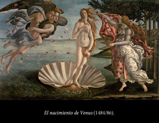 C6 Botticelli 04