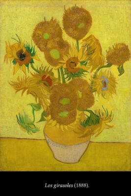 C6 Van Gogh, Arlés y el amarillo 02