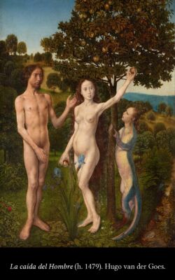 C6 Los primitivo flamencos 05