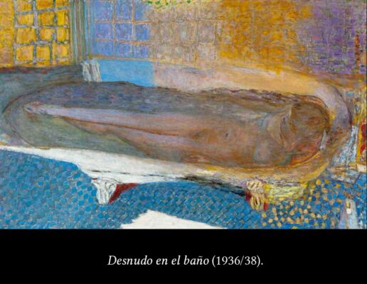 C6 Bonnard 04
