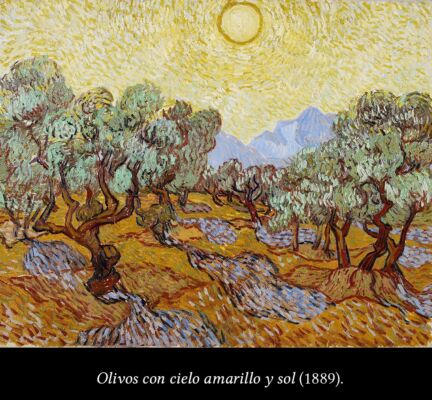 C6 Van Gogh y los olivos 02
