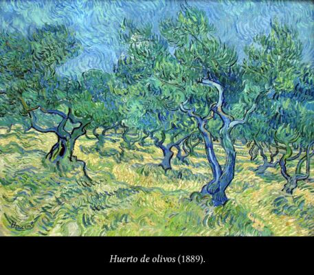 C6 Van Gogh y los olivos 04